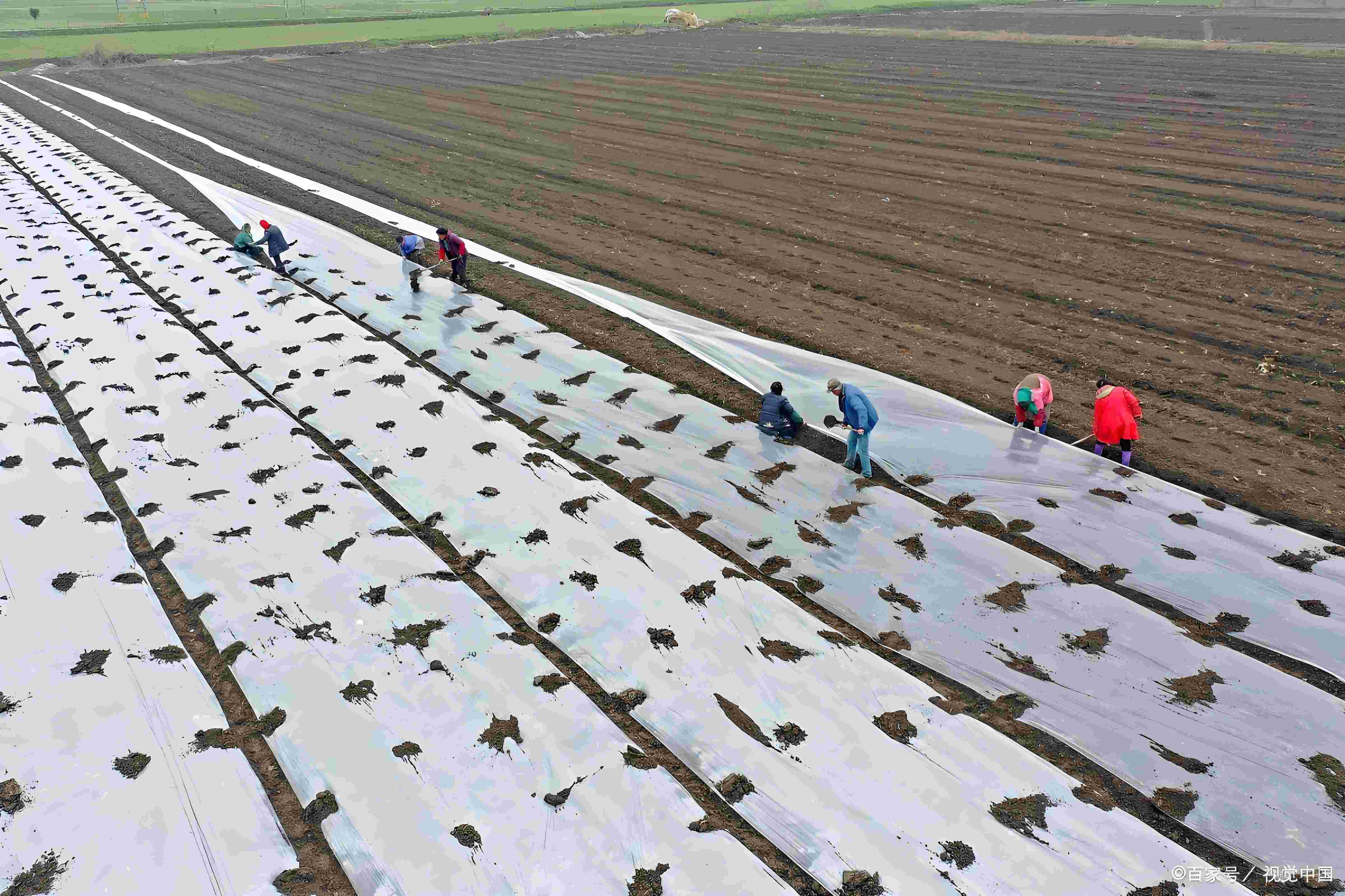 农用地膜